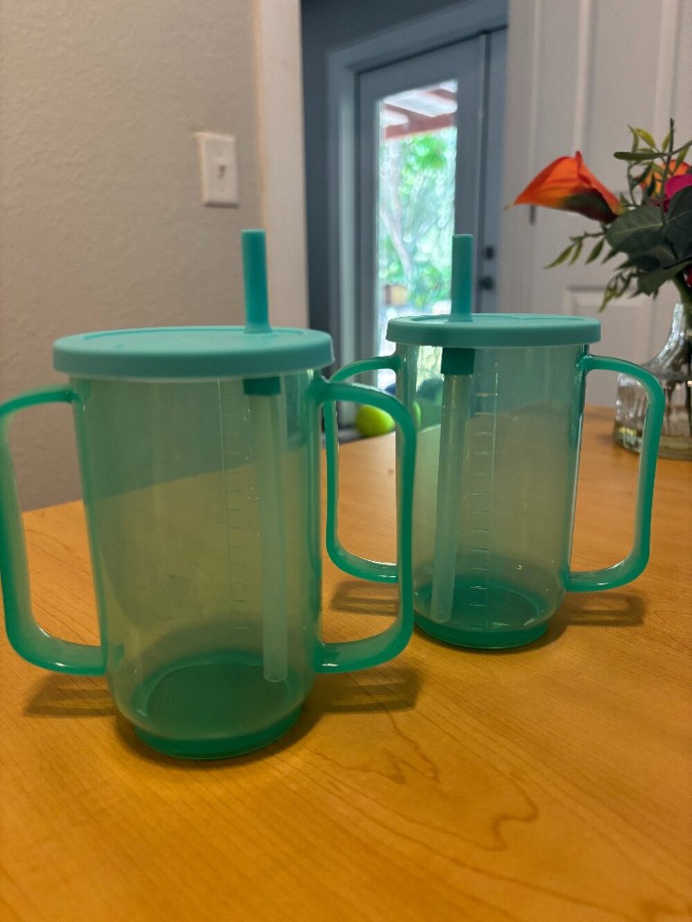 12 oz 'aiwecare' Adult Sippy Cups for Seniors - Helpful Non Spill Options